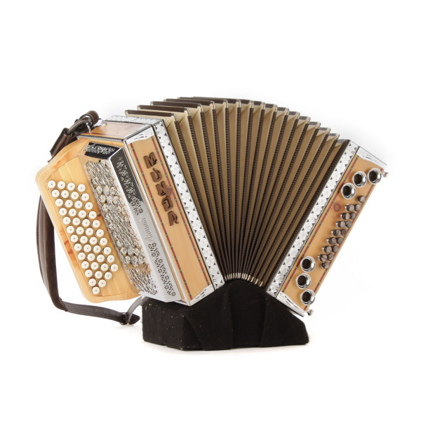 Munda Harmonika Auftakt Zirbe G C F B