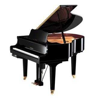 Yamaha DGB 1 EN PE Diskflügel