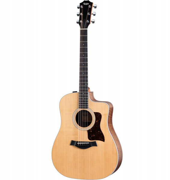 Westerngitarren_Taylor-210ce_0