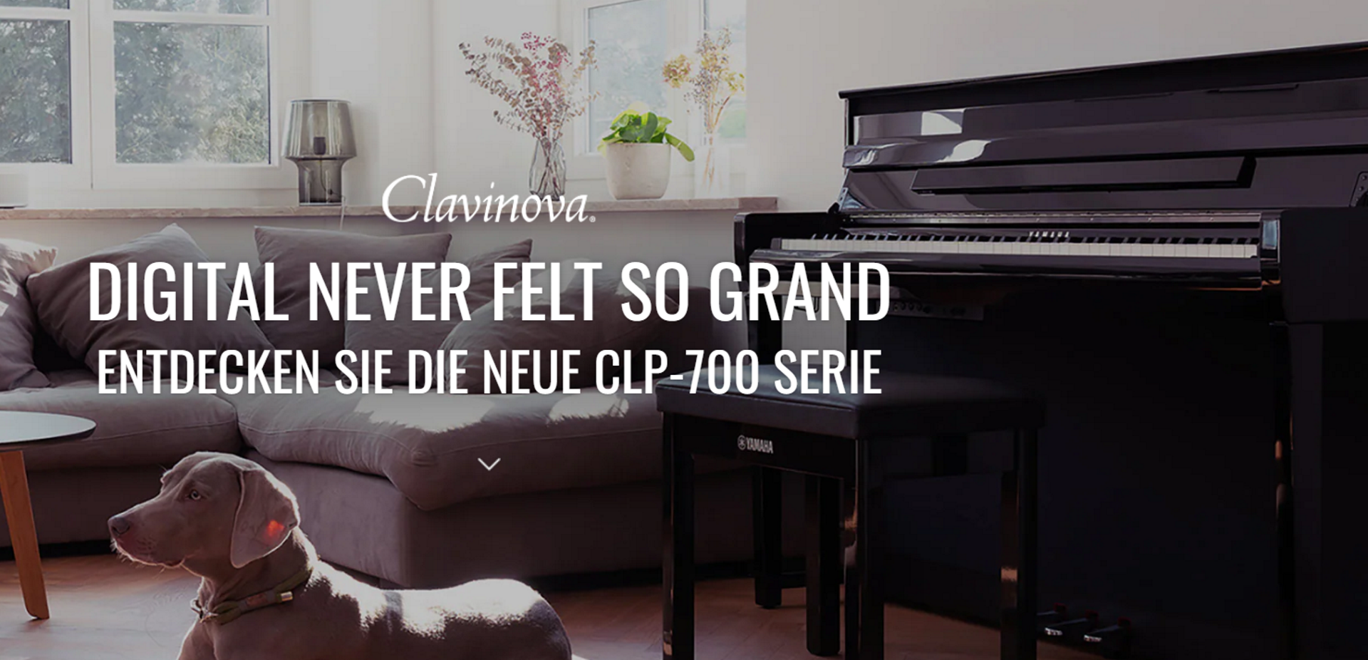 CLP 700 Serie